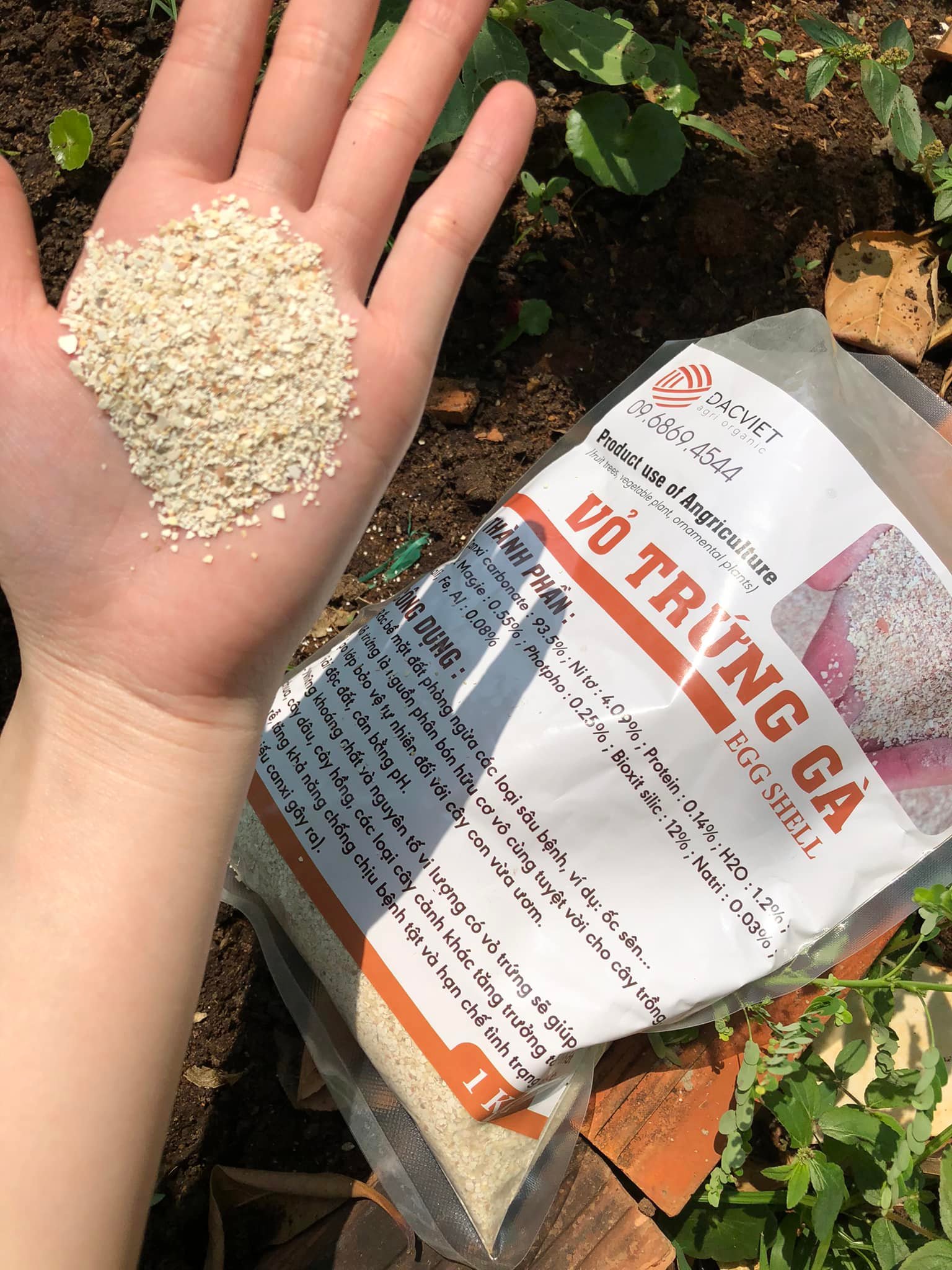 #21 [Vỏ trứng] Mách Bạn Cách Trồng Cà Tím Siêu Sai Trái Trên Sân Thượng