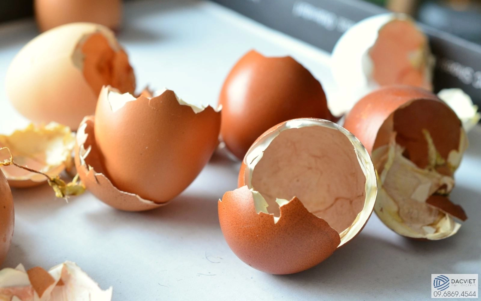 Cách làm phân hữu cơ sạch từ vỏ trứng bỏ đi cực kỳ đơn giản