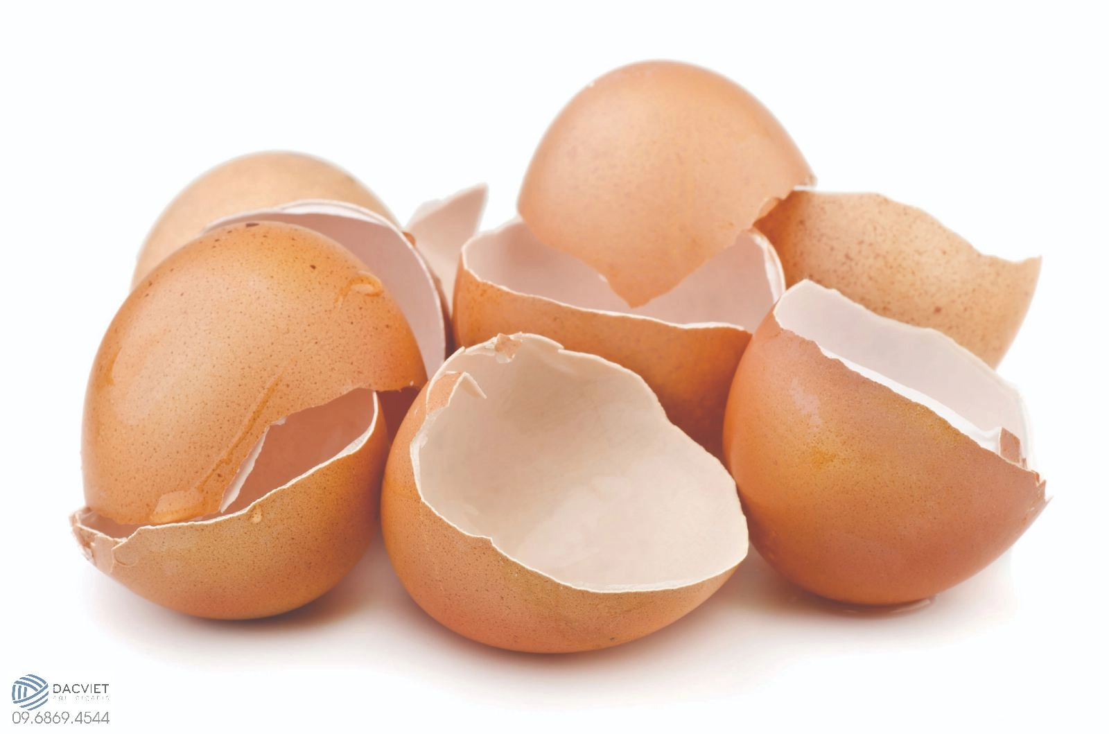 Vỏ trứng gà có tác dụng gì? Top 5 cách dùng vỏ trứng bón cây