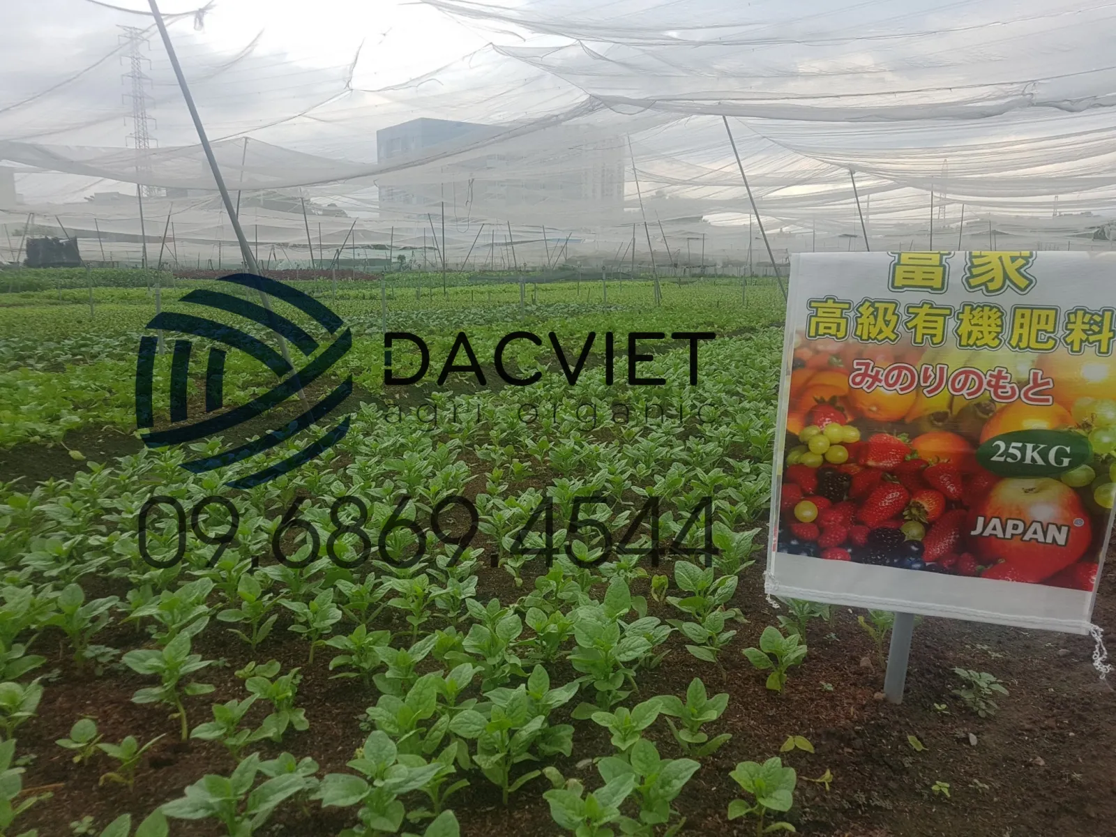 Sử Dụng Phân Hữu Cơ Gà Nhật Bản