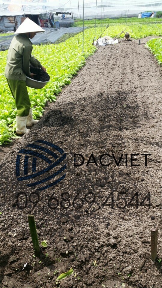 Sử Dụng Phân Hữu Cơ Nhật Bản Hiệu Quả Tốt Nhất
