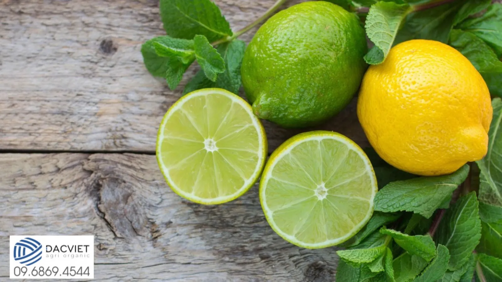 #38 [Phân Gà] Kỹ Thuật Trồng Và Chăm Sóc Vụ Mùa Chanh Cho Trái Quanh Năm