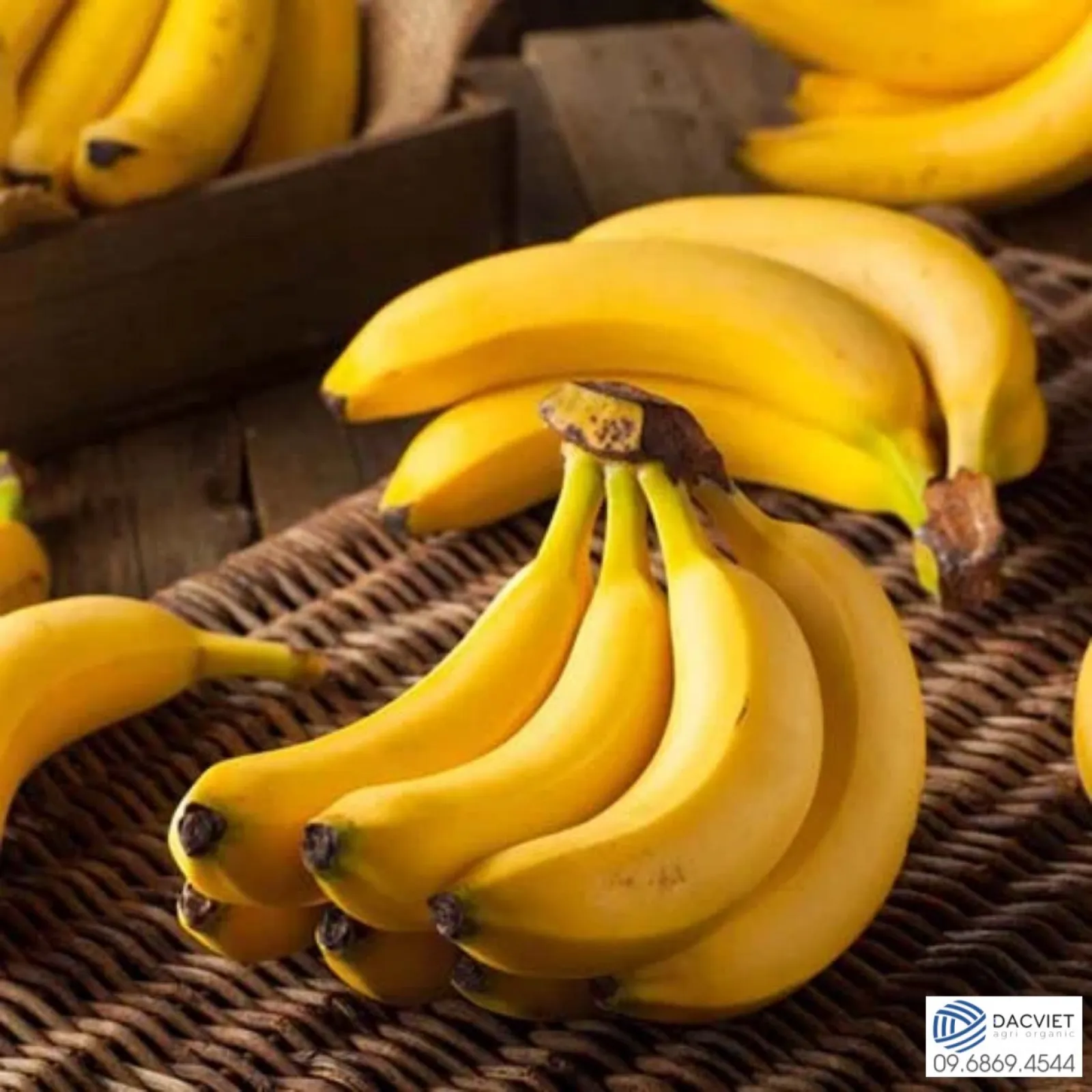 #39 [Phân Gà] Quy Trình Và Kỹ Thuật Trồng Chuối Cho Năng Suất Gấp Đôi