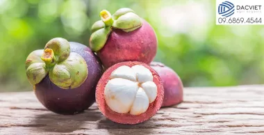 #43 [Phân Gà] Canh Tác Theo Hướng Hữu Cơ - Măng Cụt Được Giá Bà Con...