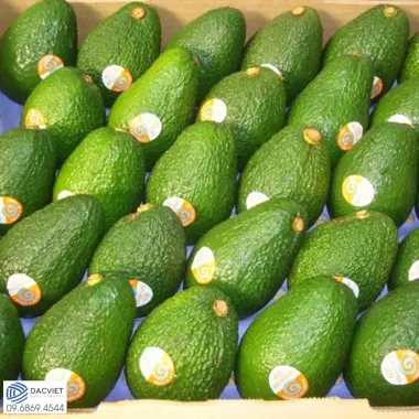 #44 [Phân Gà] Hướng Đi Mới Cho Bà Con - Chọn Trồng Cây Bơ Chủ Lực Mang...