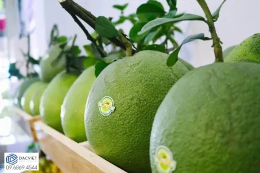 #41 [Phân Gà] Trồng Bưởi Theo Hướng Hữu Cơ Sinh Học Bền Vững Và...