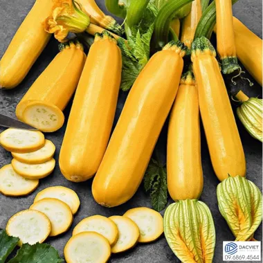 #32 [Vỏ Trứng] Cách Trồng Và Chăm Sóc Bí Ngòi Vàng Đạt Năng Suất Siêu...